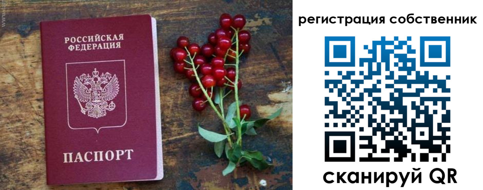 регистрация для дет. сада в Темрюке